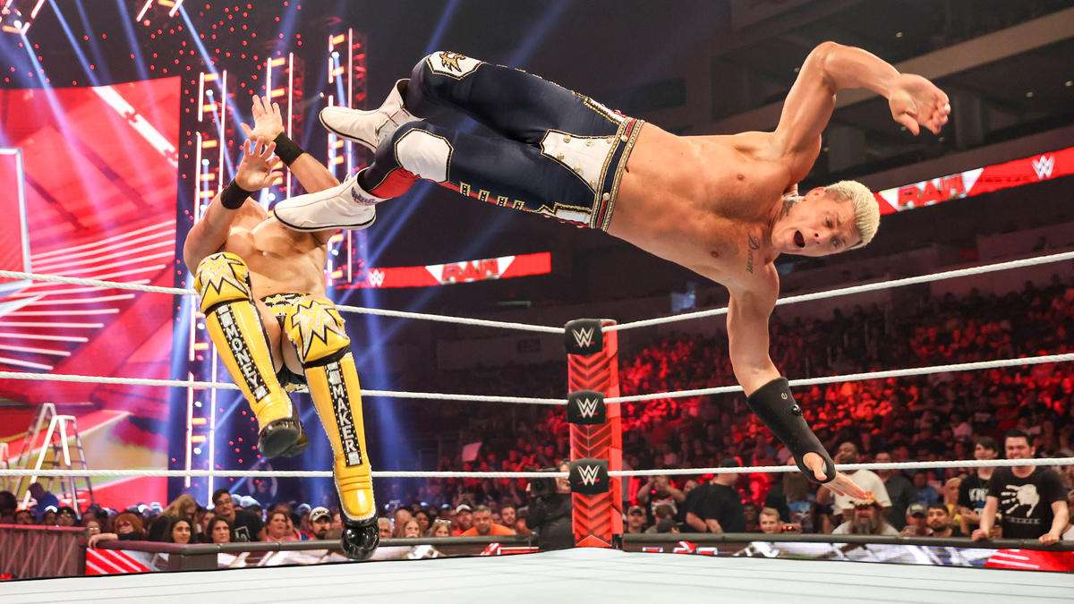 运动品牌参 运动品牌参