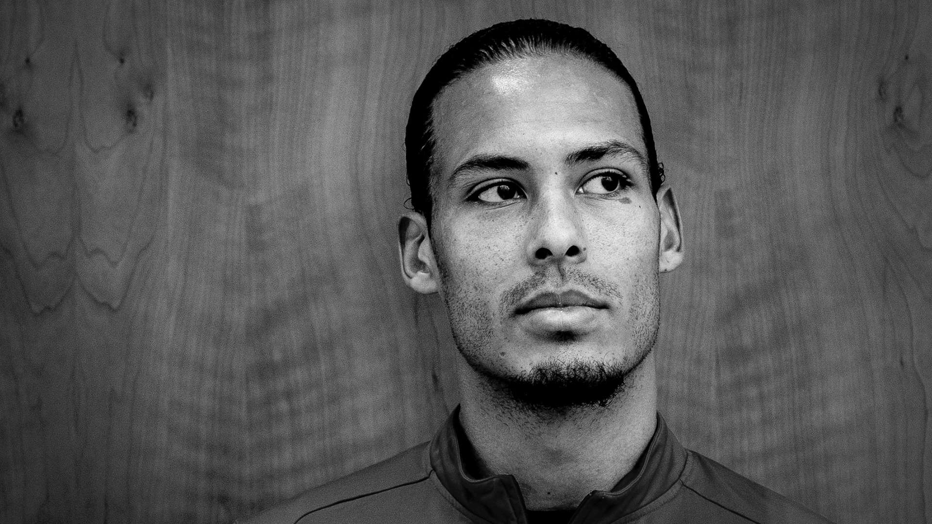 中展现了极 中展现了极